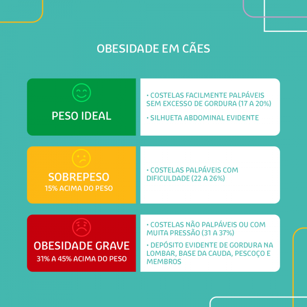 Obesidade-em-Cães-e-Gatos-2